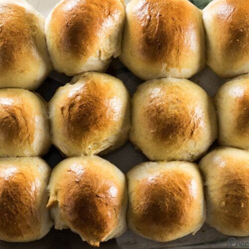 Sweet Dinner Rolls Recipe