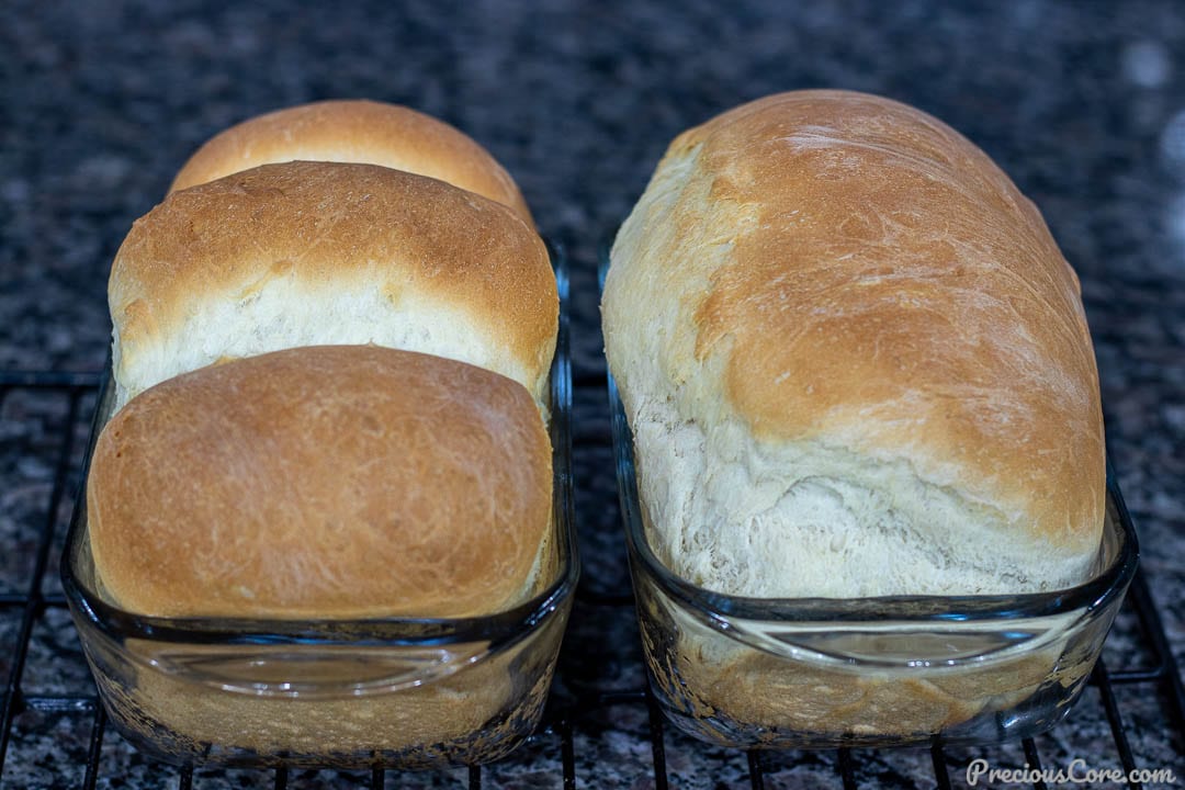 2 loaves of bread in glass loaf pans made with the Easy Sandwich Bread Recipe.