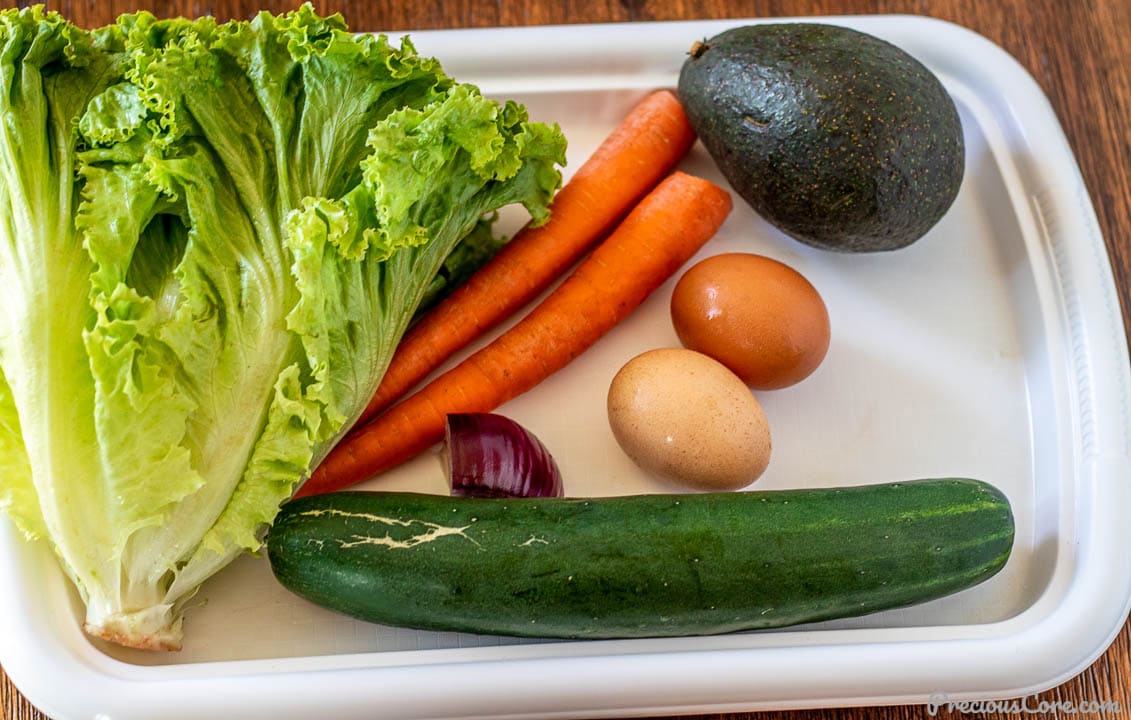 Lettuce, carrots, cucumber, avocado, eggs on a tray.