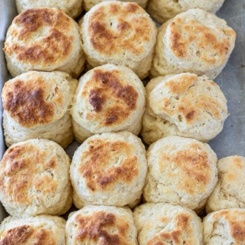 Cream Cheese Biscuits | Precious Core