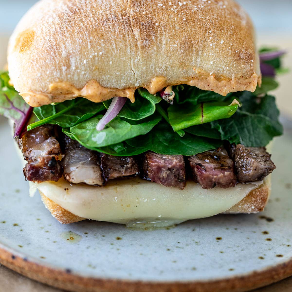 Ribeye Steak Sandwich | Precious Core