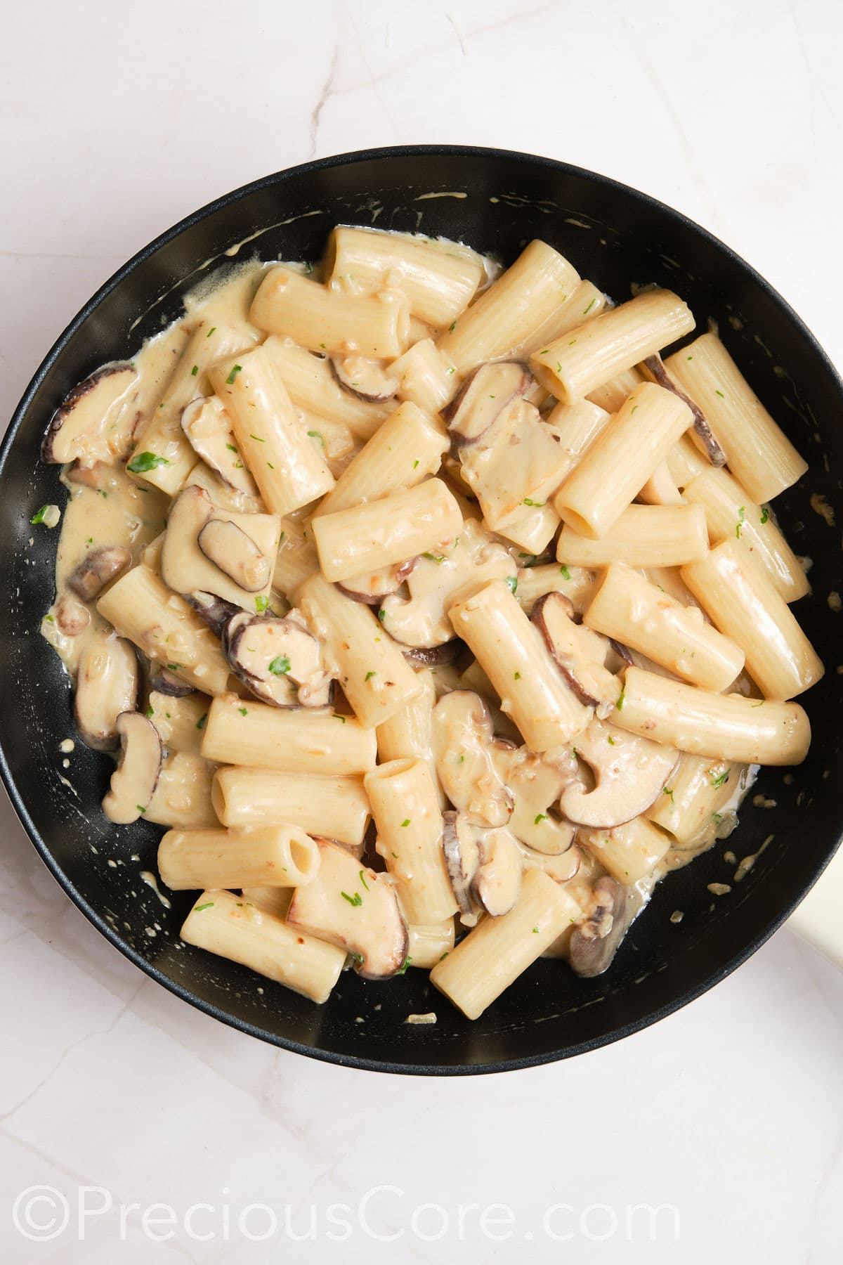 Pasta stirred into creamy sauce.